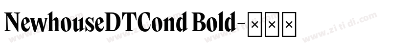 NewhouseDTCond Bold字体转换